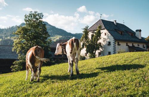 Badia Apartamento | Lüch Colz