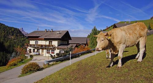 La Valle Casa | Lüch da Spescia