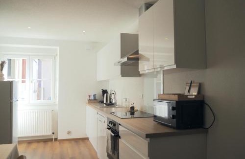 Rhinau Apartamento | L'échappée Belle proche "Europa Park"