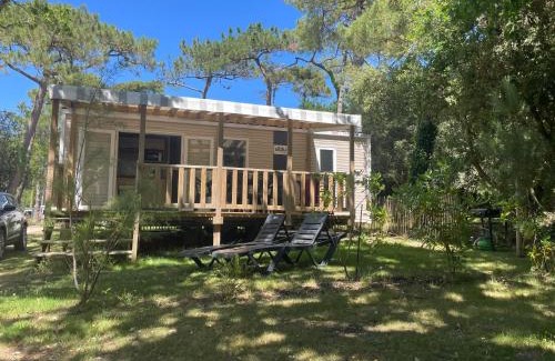 Piriac-sur-Mer Otro | L'écureuil