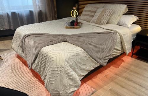 Sarrebourg Apartamento | L'élégance - Charme - Jacuzzi - -Secret- Parking