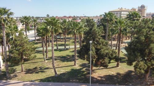 Los Alcázares Apartamento | L.A. Apartment