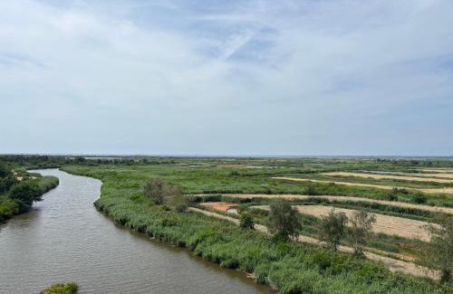 Le Teich Apartamento | L air du Bassin