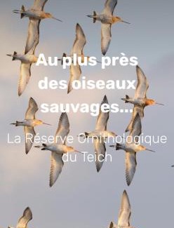 Le Teich Apartamento | L air du Bassin