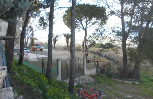 Racalmuto Casa | L'Albero Amico