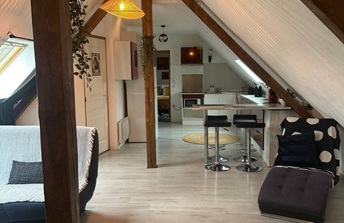 Entzheim Apartamento | L' alcôve Confortable. air-conditioned apartment 15 m from Strasbourg!