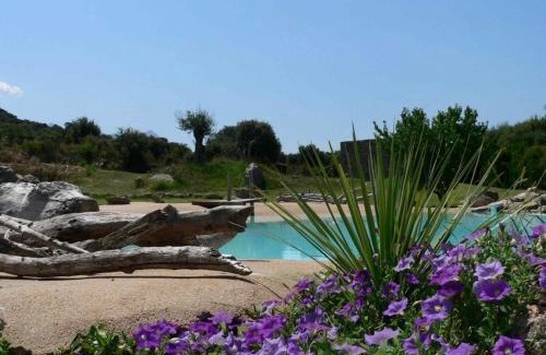 Belgodere Apartamento | L'Alivi di l'Osari