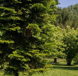 Issigeac Casa | L'ancienne gare d'Issigeac,piscine,grand terrain,4 personnes