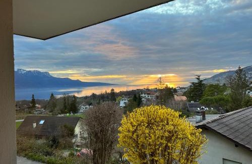 Saint-Legier-La Chiesaz Apartamento | L'Appart Riviera vue panoramique