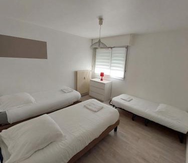 Metz Apartamento | L'appart d'Eugénie société selogerametz com