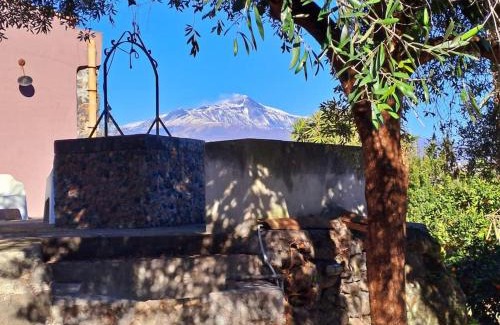 Aci San Filippo Casa | L'Aranceto