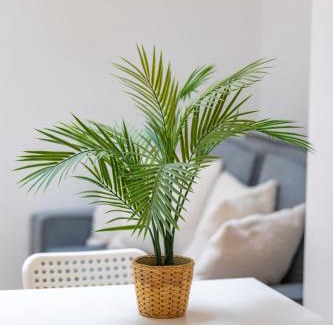 Cognac Apartamento | L'Arche #Climatisation #4pers