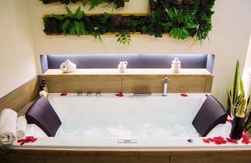 Troyes Apartamento | L'atelier vert - Suite Luxe, SPA, Proche Hypercentre - Classé 4 étoiles