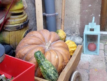Ottrott Cama Y Desayuno | L'ateliere