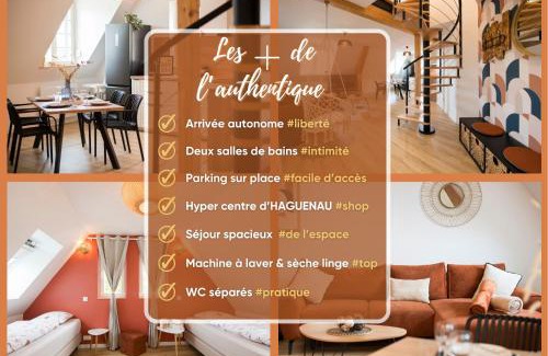 Haguenau Apartamento | L'Authentique Spacieux duplex 2 salles de bains