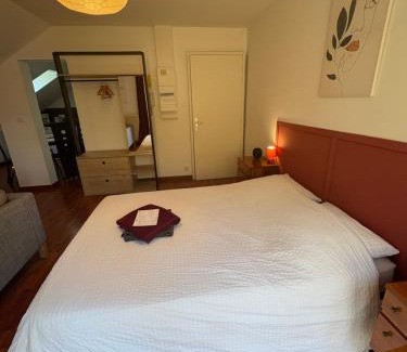 Selestat Apartamento | L'ESCALE SELESTADIENNE