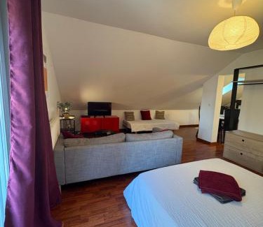 Selestat Apartamento | L'ESCALE SELESTADIENNE