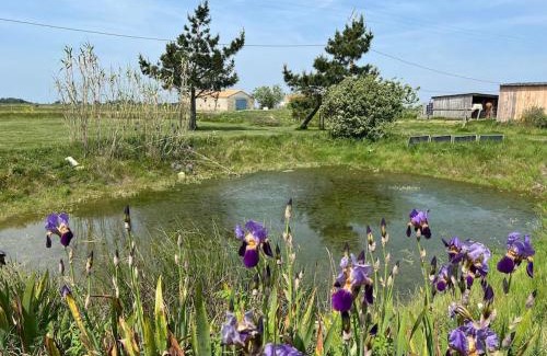 Bouin Casa | L ETANG DES VACANCES Maison de charme au cœur des marais pour 6pers