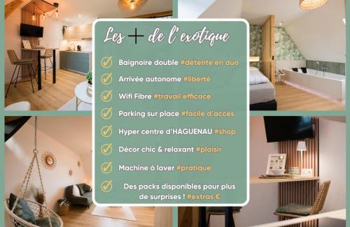 Haguenau Apartamento | L'Exotique Baignoire Double Cozy Duplex