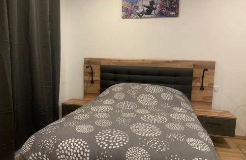 Sarrebourg Apartamento | L Inimitable spacieux et lumineux avec 2 chambres