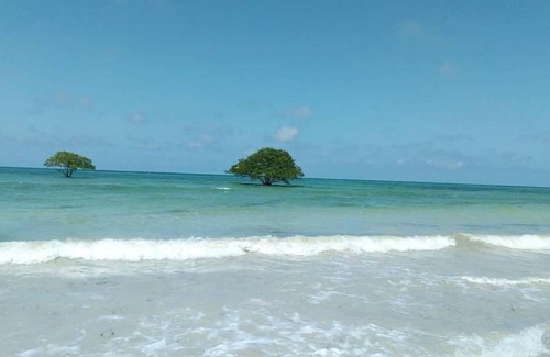 Dar es Salaam Cama Y Desayuno | L&J Modern Backpackers Kigamboni Beach House