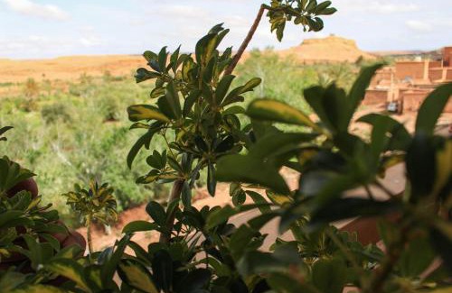 Ait Benhaddou Cama Y Desayuno | L'oasis Du Bonheur
