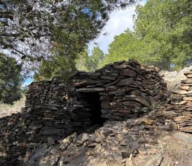 Bages Cama Y Desayuno | L'Olivier