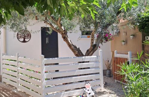 Saint-Andre-de-Sangonis Apartamento | L'Olivier