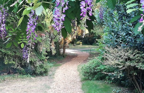 Bransles Casa | L'Orangerie du Moulin / Gîte du meunier