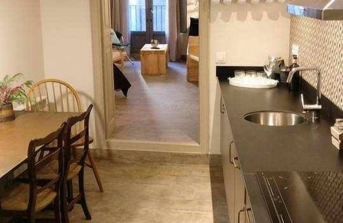 Olot Apartamento | L'Orfebre, Loft en Olot. Acceso a piscina interior
