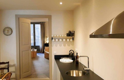 Olot Apartamento | L'Orfebre, Loft en Olot. Acceso a piscina interior