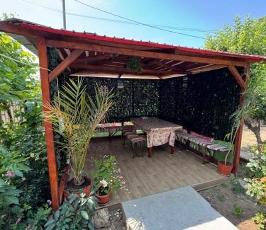 Doua Mai Casa | La Anica