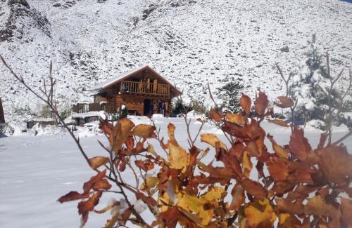 Cuyo Cabina | La Araucaria