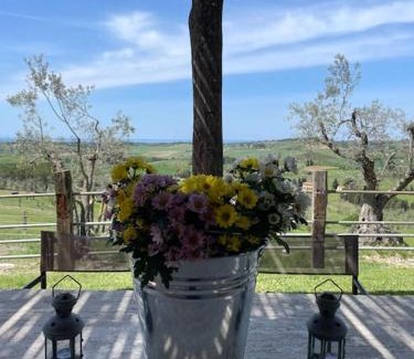 Casale Marittimo Casa | La Baciosa, una vista indimenticabile.