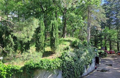 Sasso Marconi Apartamento | LA BARCA NEL FRUTTETO Natura e relax in collina