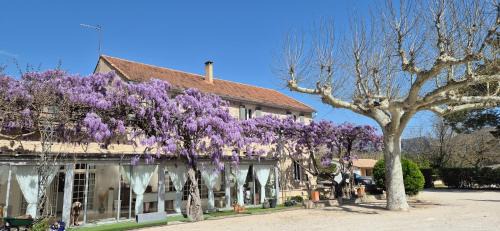 Saumane-de-Vaucluse Cama Y Desayuno | La Bastide des Arts