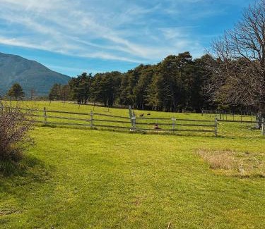 La Bastide Casa | La Bastide des Pins