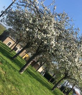 Saint-Laurent-de-Terregatte Casa | La Besnerais