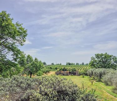 Vetralla Apartamento | La Biőisola