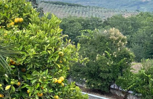San Mauro La Bruca Otro | La Bolla dell'Usignolo