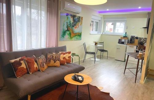 Hesingue Apartamento | La Bonbonnière by Leslodgespa