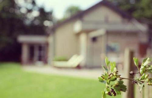 Bohon Casa | La Brindille