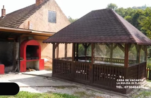 Armenis Casa | La Buliga la Sălaș