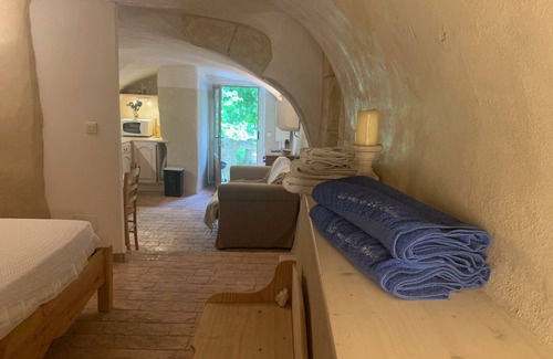 Saint-Sauveur-de-Cruzieres Cabaña | La CAVE aux VINS with private terrace and barbecue/shared pool