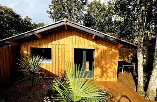 Lege-Cap-Ferret Apartamento | La Cabane 56 - calme - cosy - agréable - sans vis-à-vis