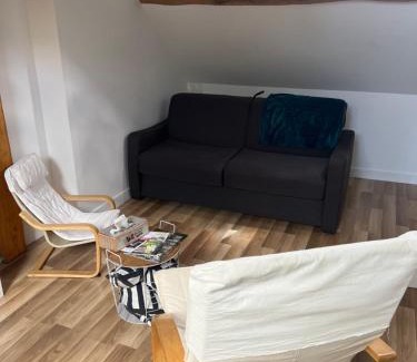 Aubigny-sur-Nere Apartamento | La cabane