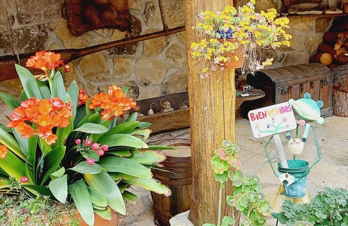 Casavieja Casa | casa rural la Cabra