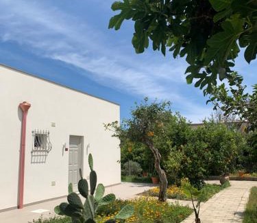 Procida Apartamento | La caccetta