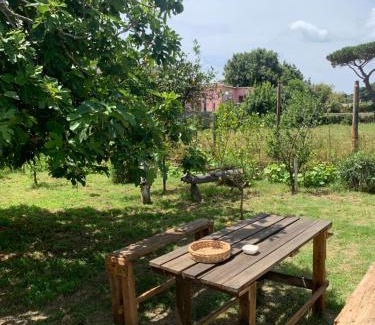 Procida Apartamento | La caccetta