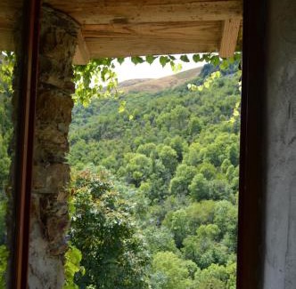 Bassurels Casa | La Calade de Craysoules